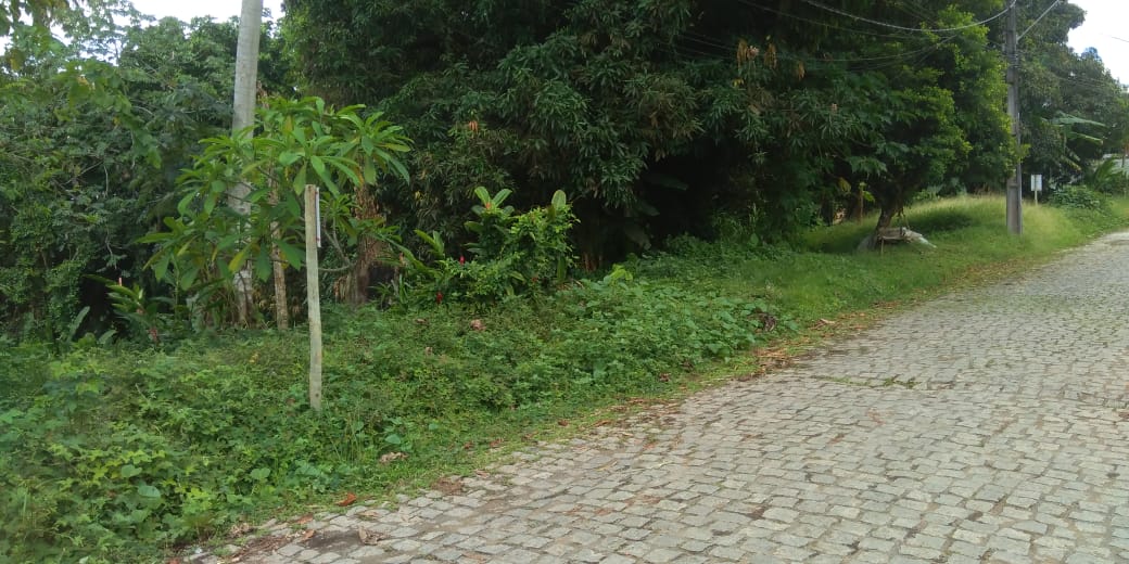Área Verde