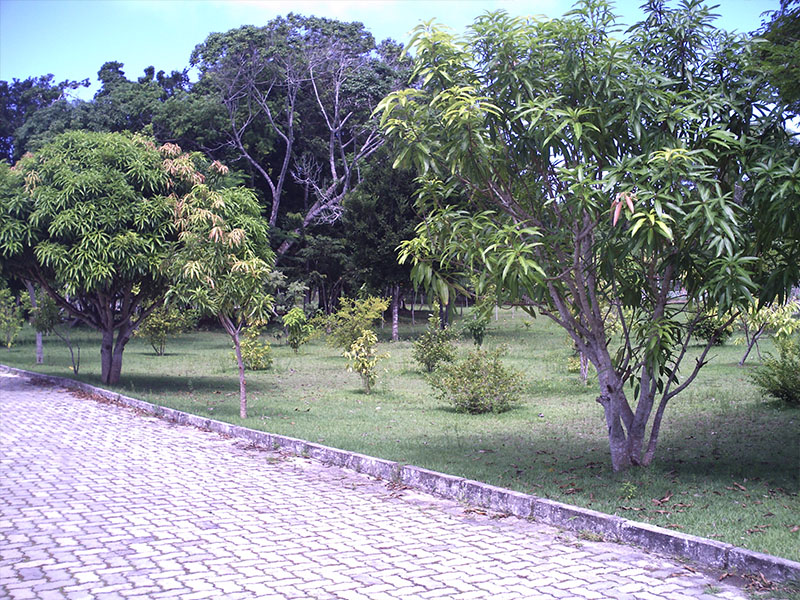 Área de Lazer